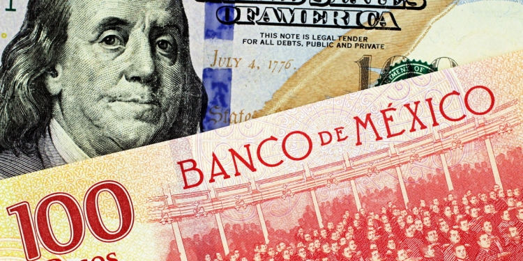 Money Guides