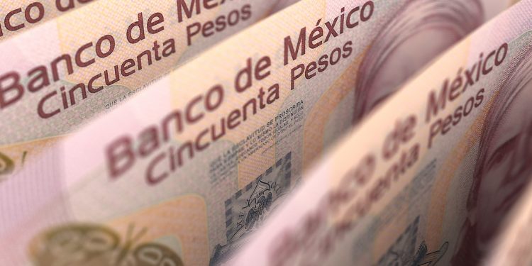 50 Peso Notes