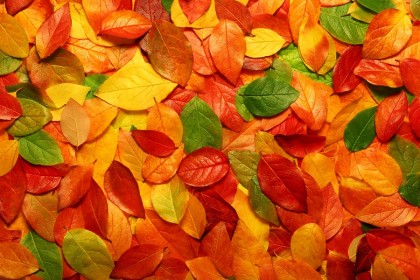 Autumn Climates in Mexico