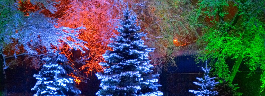 Christmas Trees in Red, White and Green