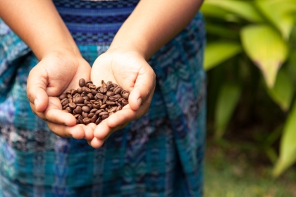 Coffee grower in Mexico