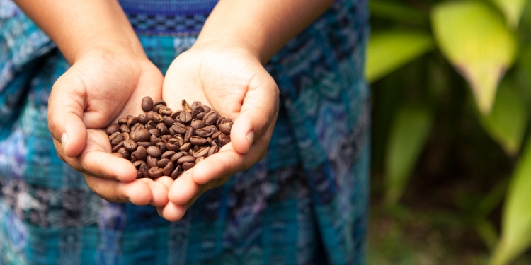 Coffee grower in Mexico