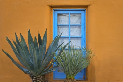 Colonial Window