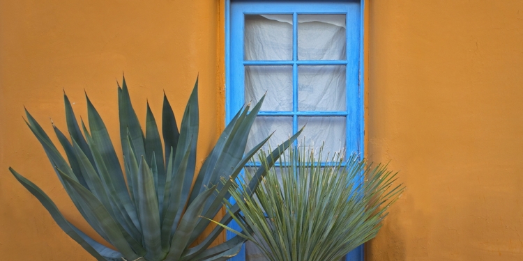 Colonial Window