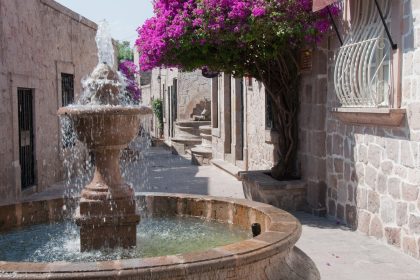 Colonial Fountain and Bougainvillea