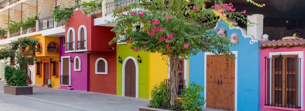 Colorful houses and trees in Mexico