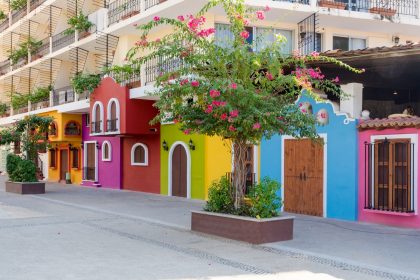 Colorful houses and trees in Mexico