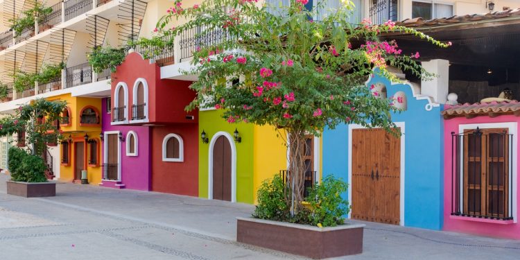 Colorful houses and trees in Mexico