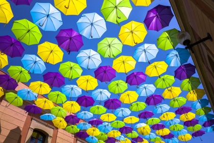 Colorful umbrellas covering a street