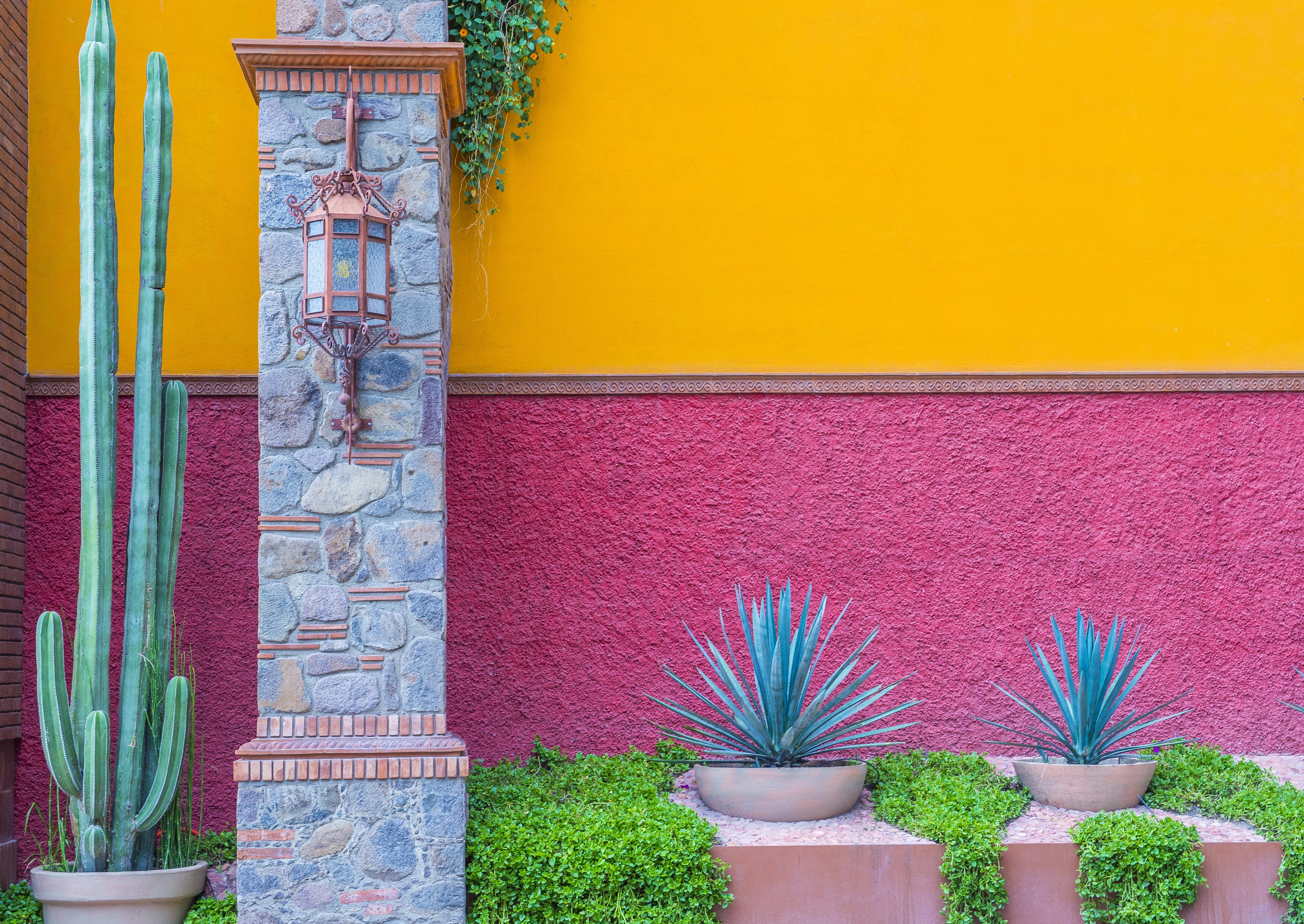 A colorful wall in Mexico