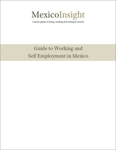 Working and Self Employment in Mexico