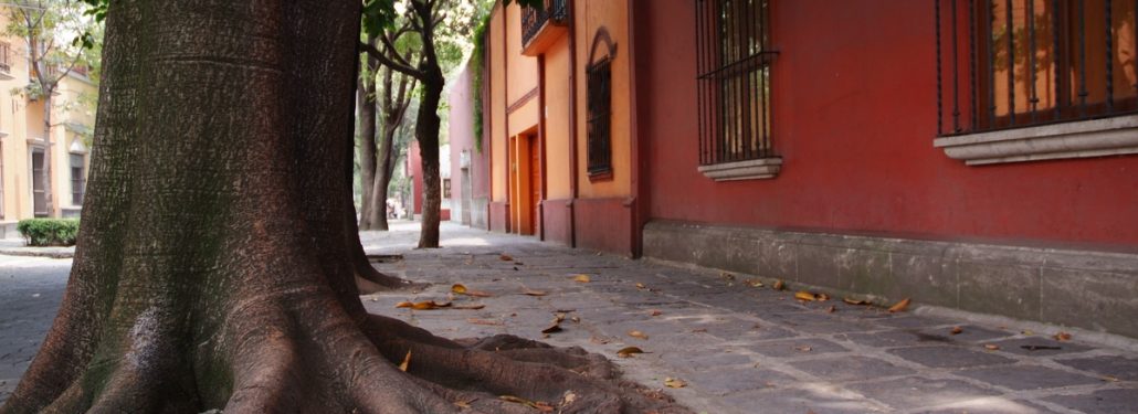 Autumn - Coyoacan Mexico