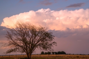 Rain storm on the horizon