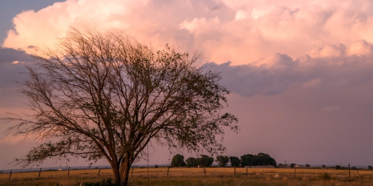 Rain storm on the horizon