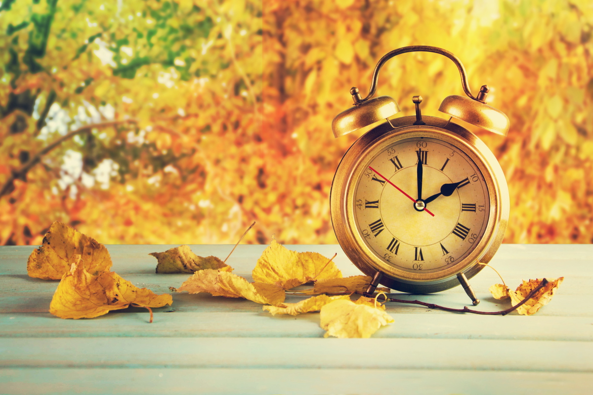 Autumn/Fall Clock Changes
