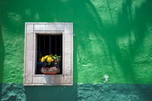 Flowerpot in the window reveal of a colonial house