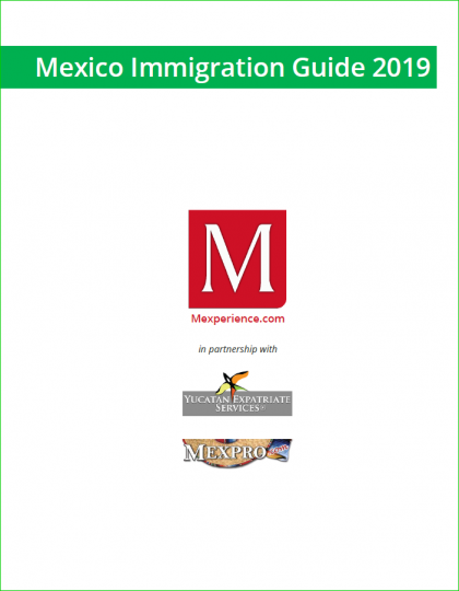 Fmm Mexico Form.pdf Mexico Fmm