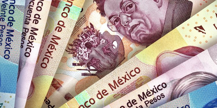 Mexican Pesos Montage