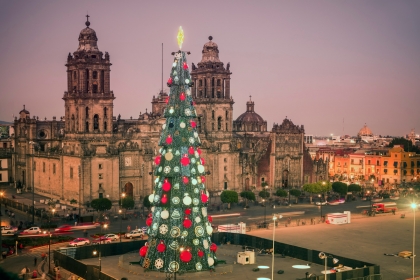 Christmas Tree in Mexico City