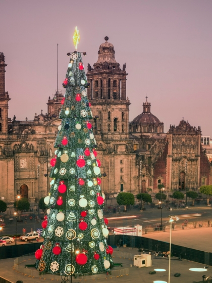 Christmas Tree in Mexico City