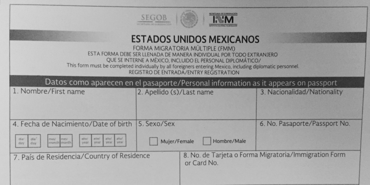 BELIZE DIGITAL BORDER CROSSING CARD APPLICATION FORM - Fill and