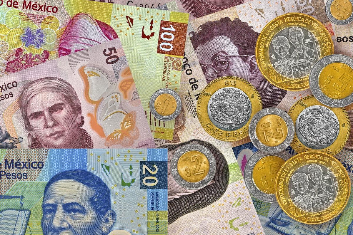 Cash Please Mexperience Cash Please