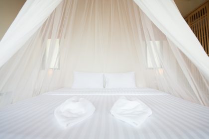 Mosquito Bed Net