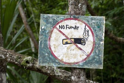 No Fumar: No Smoking Sign