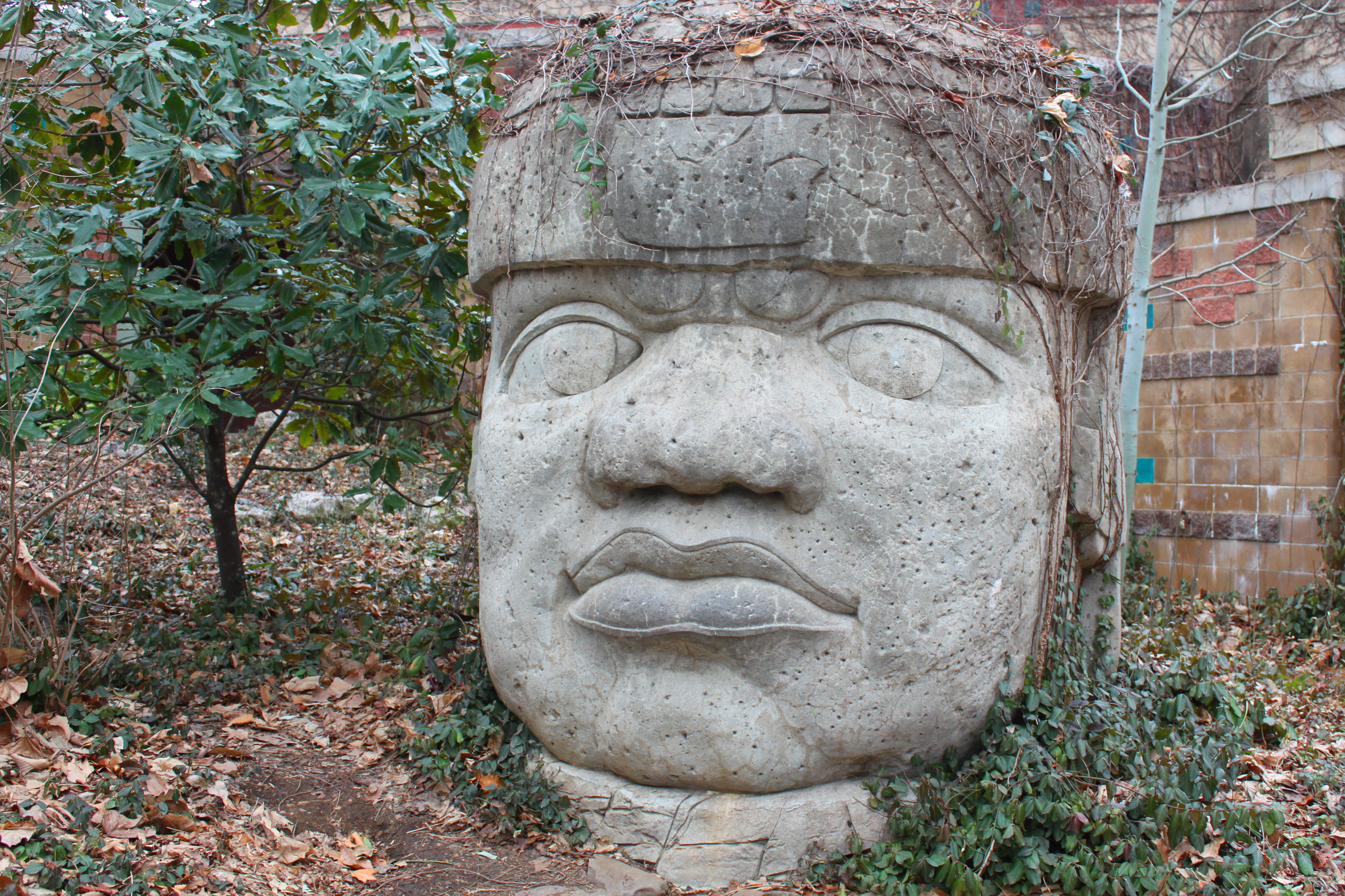 Olmec Stone Head, Villahermosa, Mexico