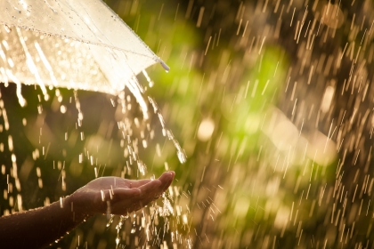 Enjoying the rainy season