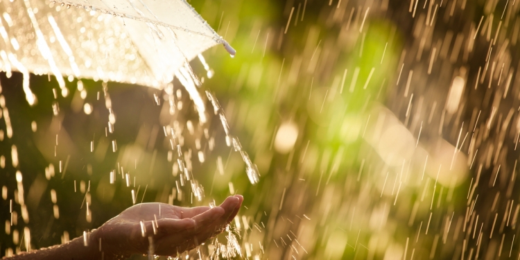 The Enjoyment of Mexico's Refreshing Rainy Season