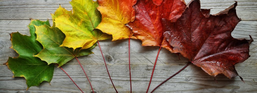 Seasons in Mexico