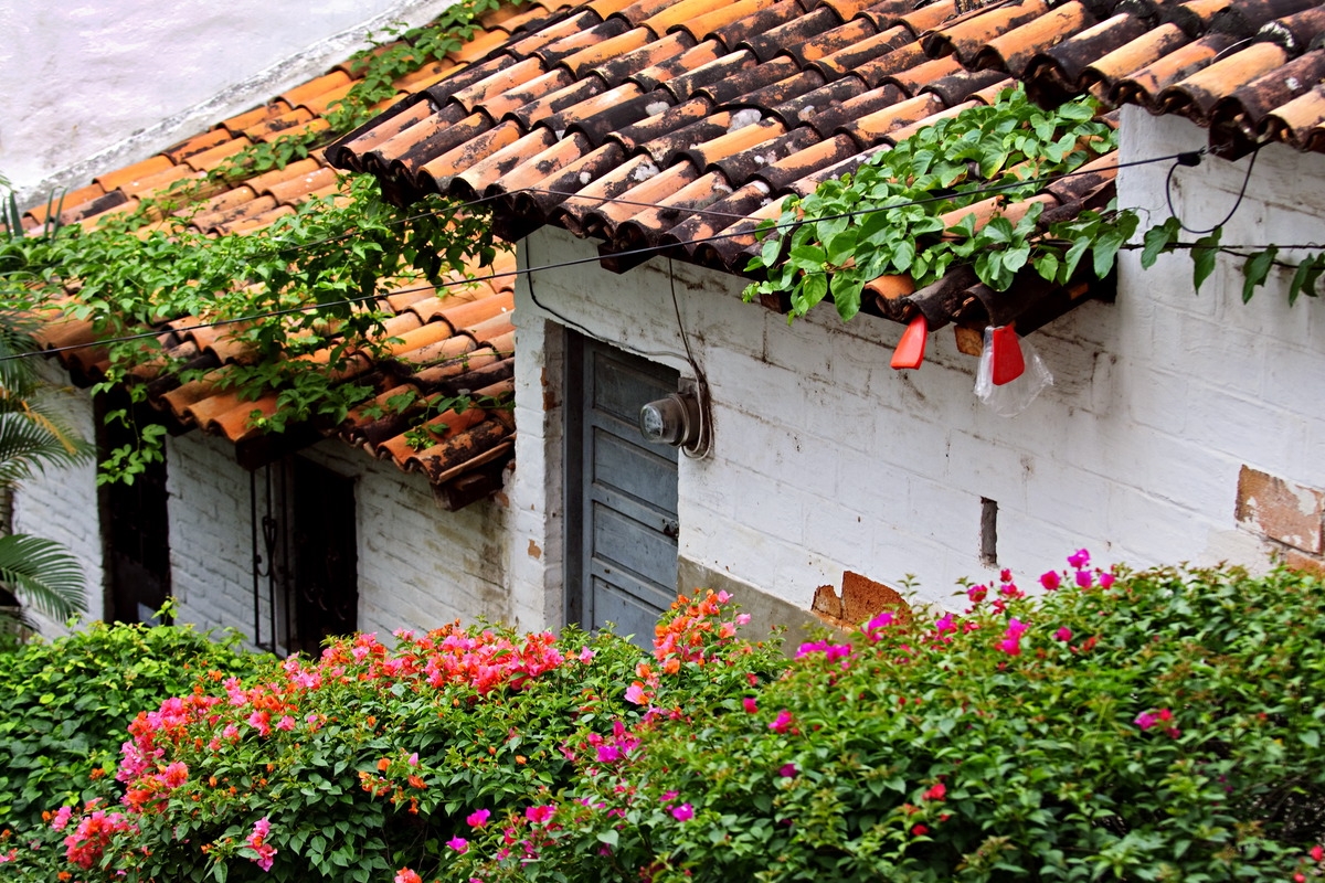 Rooftop view in Mexico