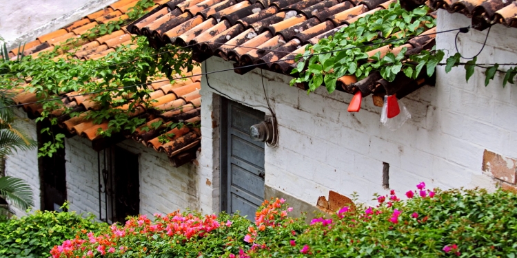 Rooftop view in Mexico