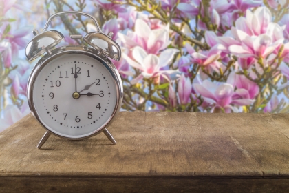 Spring clock change with flowers