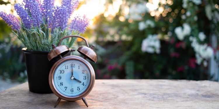 Clock on garden table at sunrise