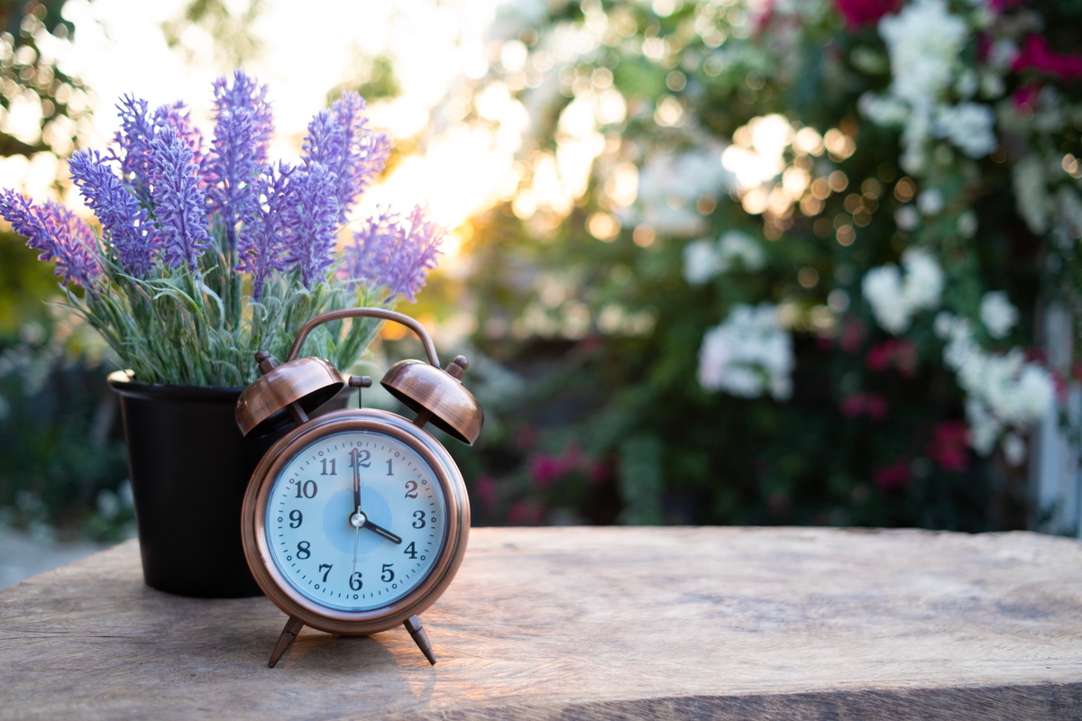 Clock on garden table at sunrise