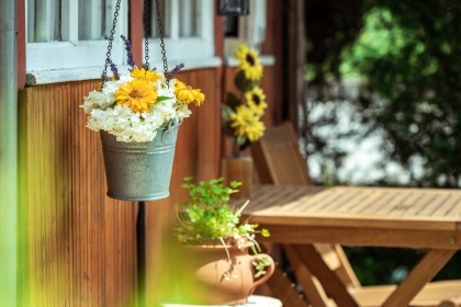 Spring flowers in a garden
