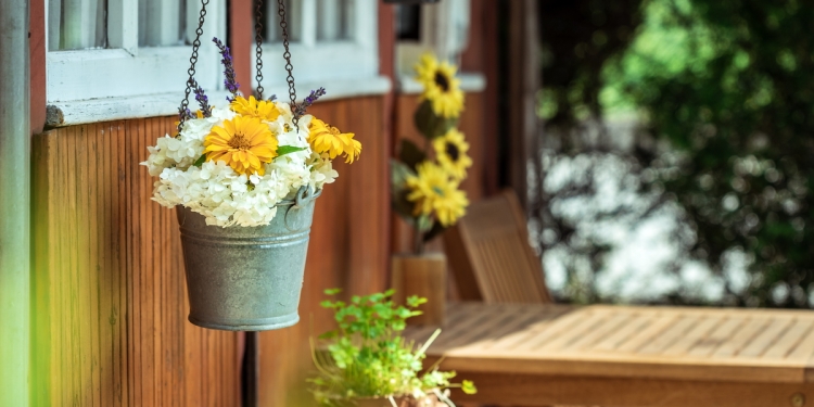 Spring flowers in a garden