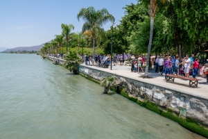 The shoreline of Lake Chapala, Mexico