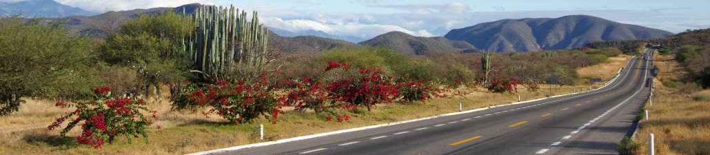 The Open Road in Mexico