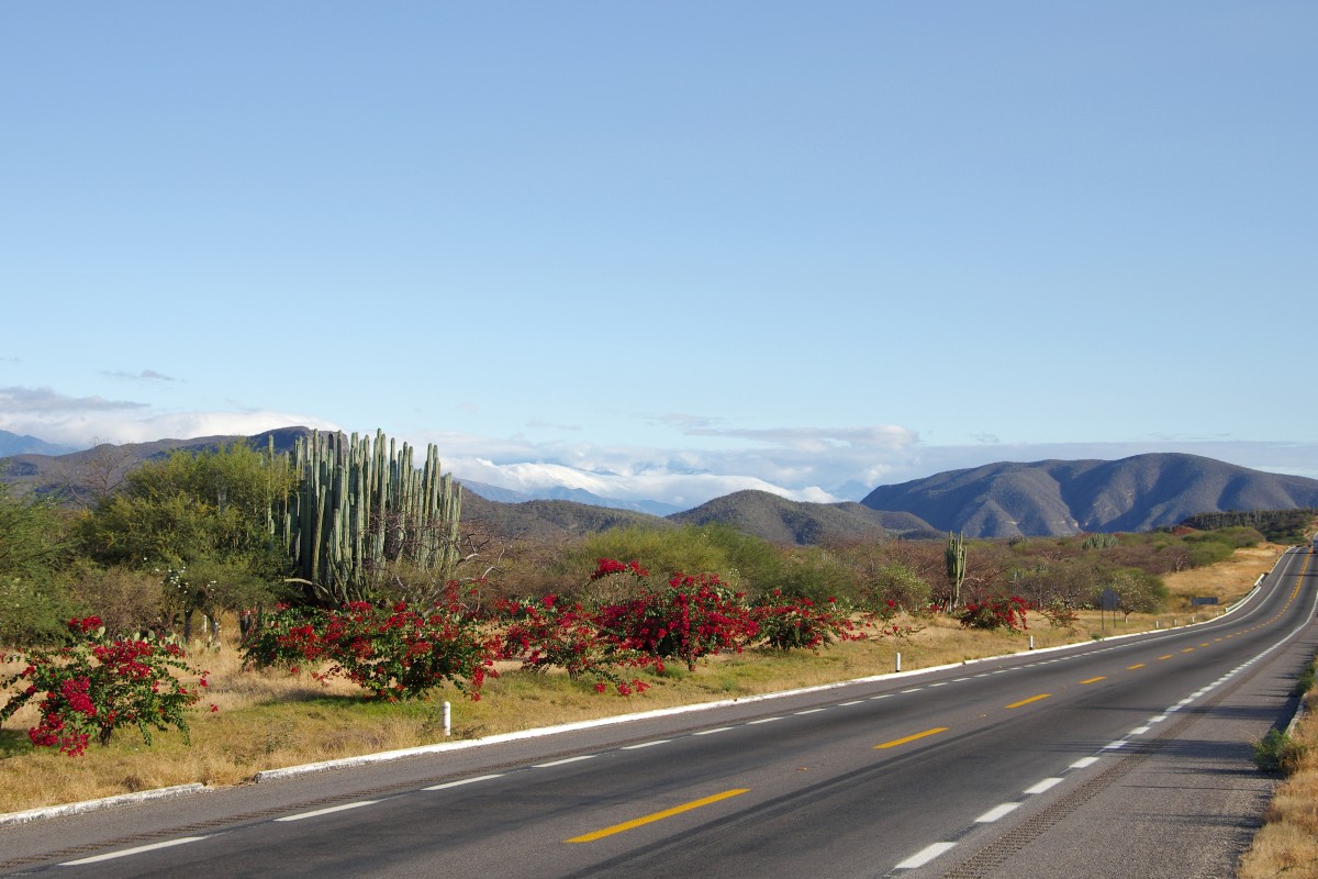 The Open Road in Mexico