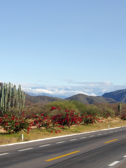 The Open Road in Mexico