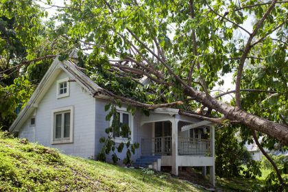 Tree Fallen on a House