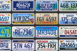 Collage of US Vehicle License Plates