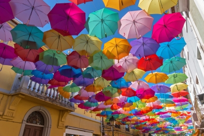 Umbrellas covering a street with houses