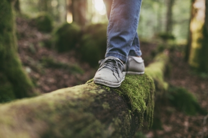 Keeping balance while walking along a tree trunk