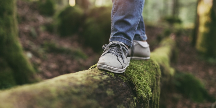 Keeping balance while walking along a tree trunk