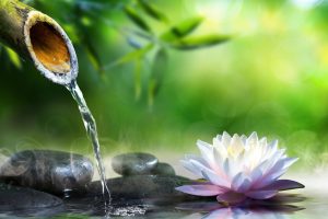 Water Fountain