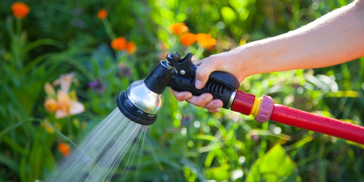 Watering Hose and Flowers